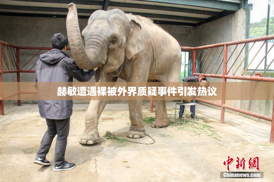 赫敏遭遇裸被外界质疑事件引发热议