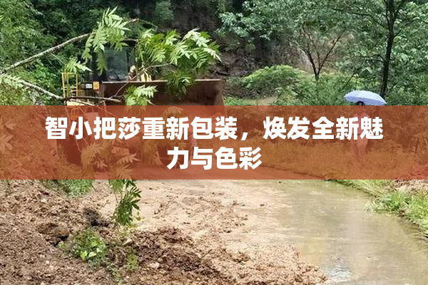 智小把莎重新包装，焕发全新魅力与色彩