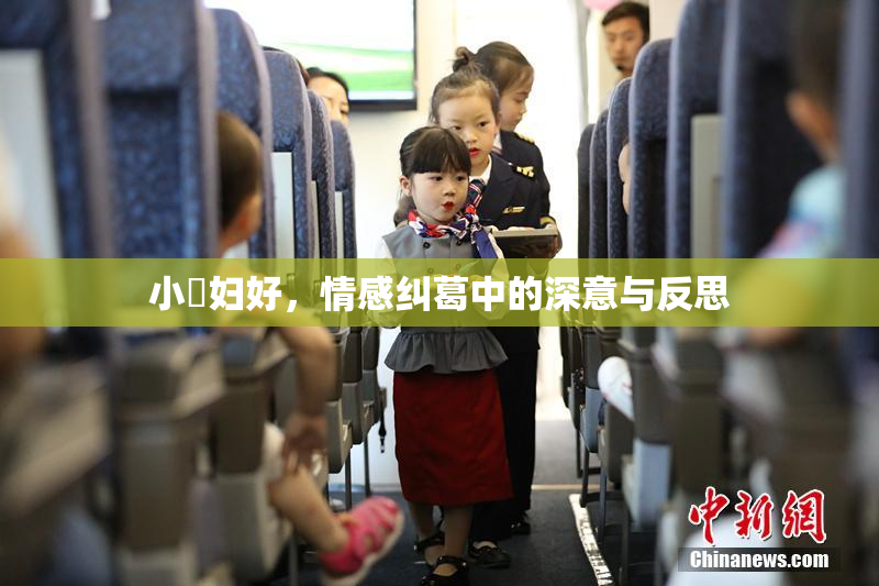 小婬妇好，情感纠葛中的深意与反思