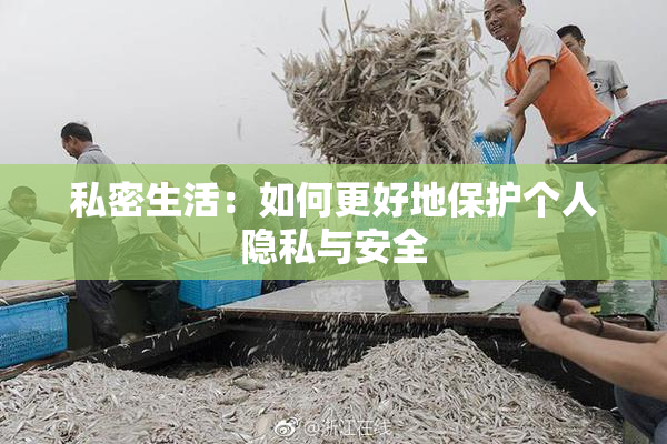 私密生活：如何更好地保护个人隐私与安全