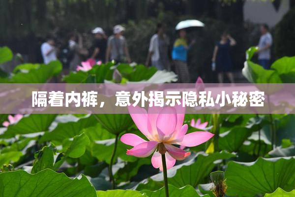 隔着内裤，意外揭示隐私小秘密