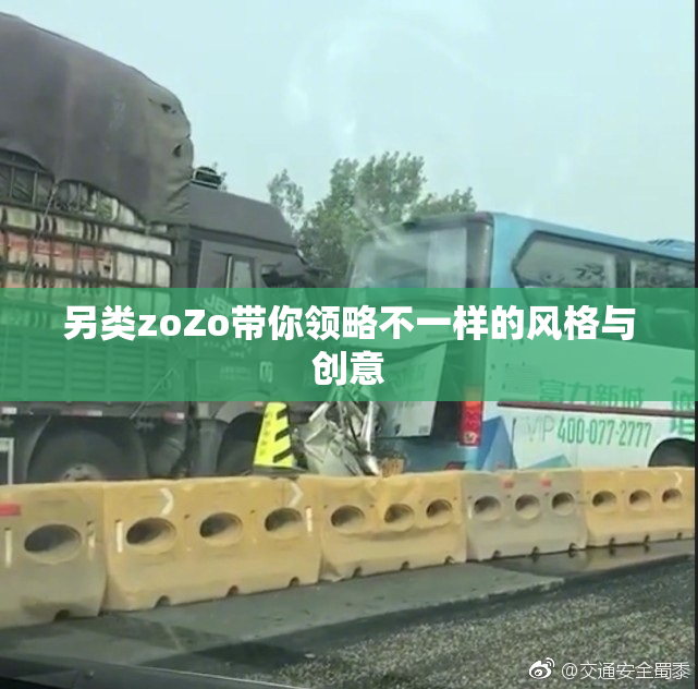 另类zoZo带你领略不一样的风格与创意
