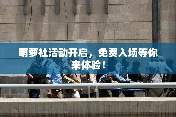 萌萝社活动开启，免费入场等你来体验！