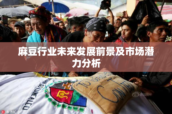 麻豆行业未来发展前景及市场潜力分析