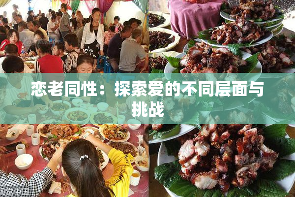 恋老同性：探索爱的不同层面与挑战