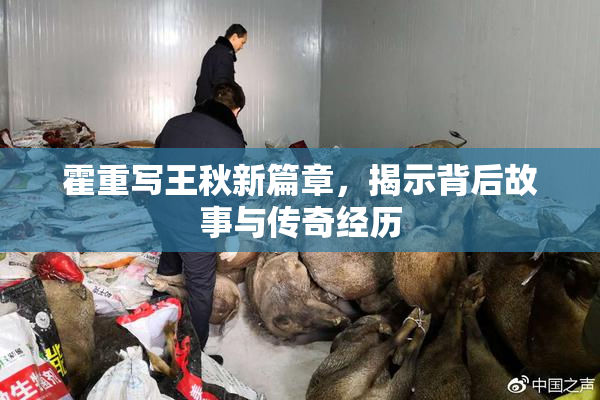 霍重写王秋新篇章，揭示背后故事与传奇经历