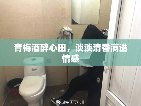 青梅酒醉心田，淡淡清香满溢情感