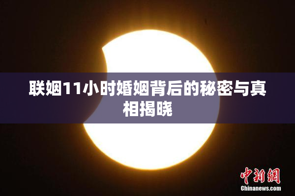 联姻11小时婚姻背后的秘密与真相揭晓