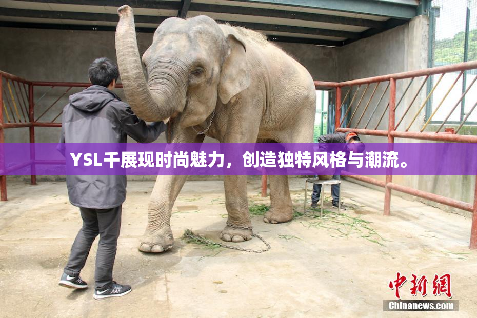 YSL千展现时尚魅力，创造独特风格与潮流。