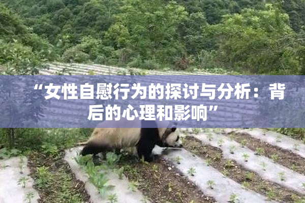 “女性自慰行为的探讨与分析：背后的心理和影响”