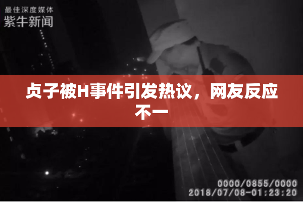 贞子被H事件引发热议，网友反应不一