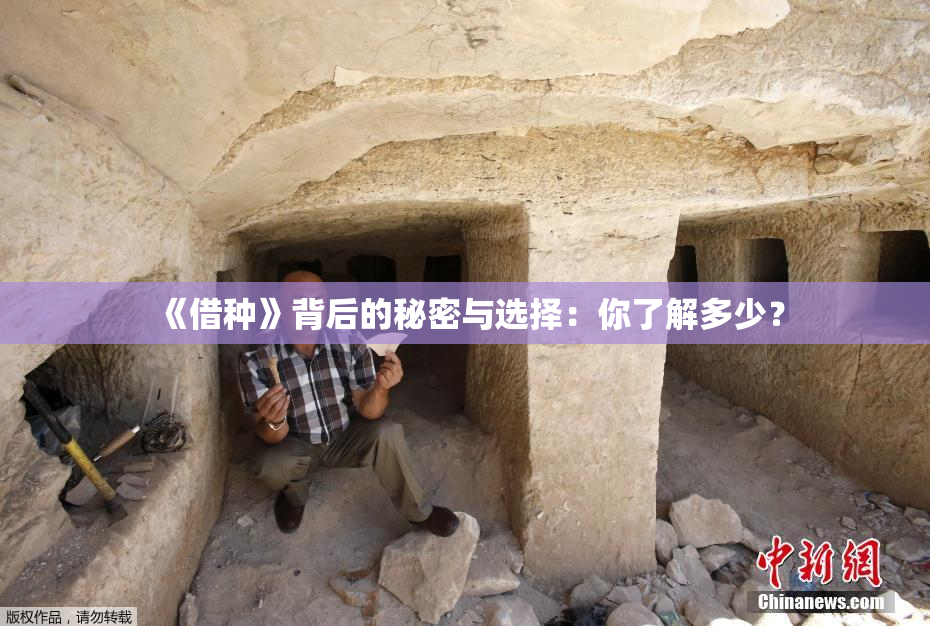 《借种》背后的秘密与选择：你了解多少？