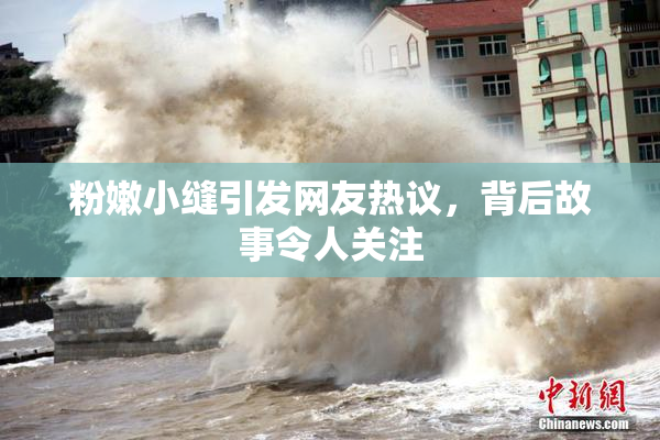 粉嫩小缝引发网友热议，背后故事令人关注