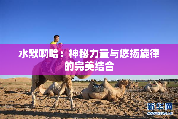 水默啊哈：神秘力量与悠扬旋律的完美结合