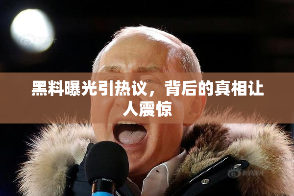 黑料曝光引热议，背后的真相让人震惊