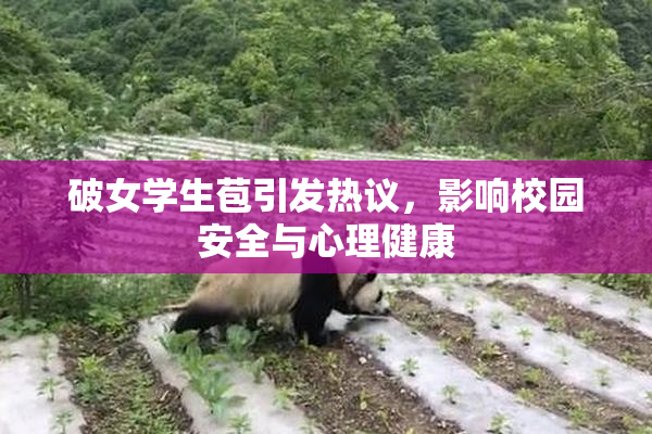 破女学生苞引发热议，影响校园安全与心理健康