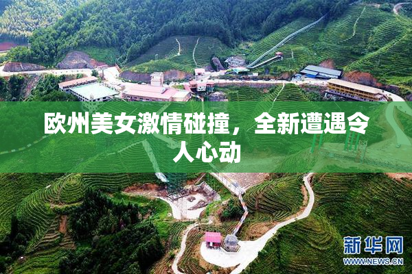 欧州美女激情碰撞，全新遭遇令人心动
