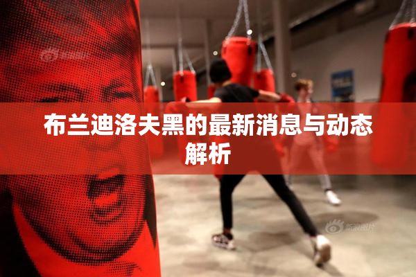 布兰迪洛夫黑的最新消息与动态解析