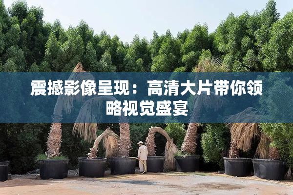 震撼影像呈现：高清大片带你领略视觉盛宴