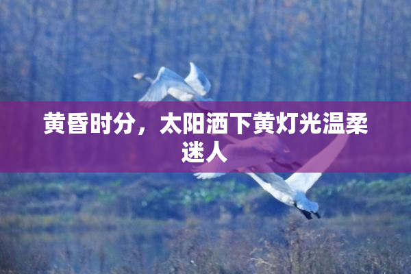 黄昏时分，太阳洒下黄灯光温柔迷人
