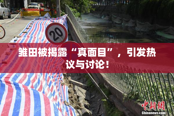 雏田被揭露“真面目”，引发热议与讨论！