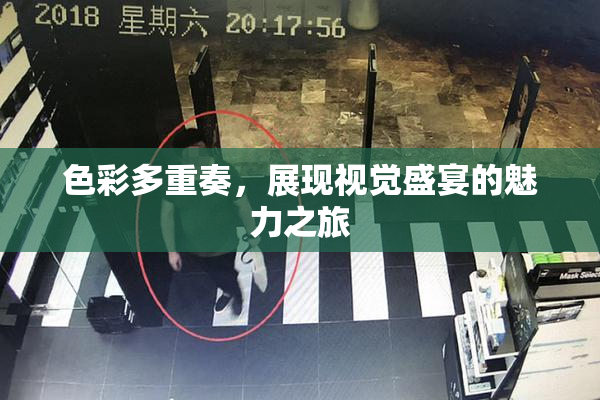 色彩多重奏，展现视觉盛宴的魅力之旅