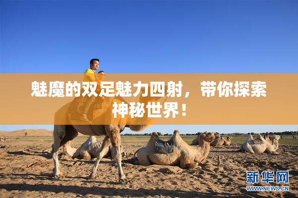 魅魔的双足魅力四射，带你探索神秘世界！