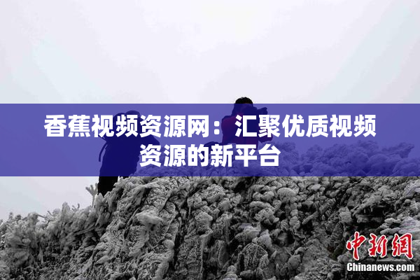香蕉视频资源网：汇聚优质视频资源的新平台
