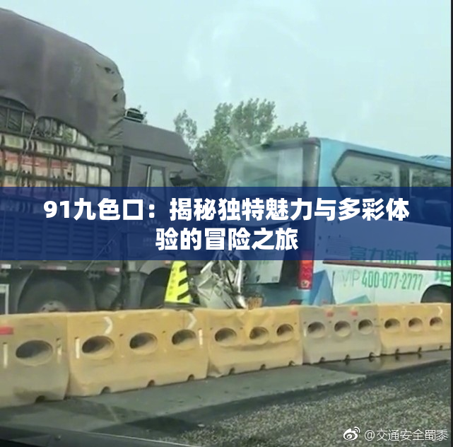 91九色口：揭秘独特魅力与多彩体验的冒险之旅