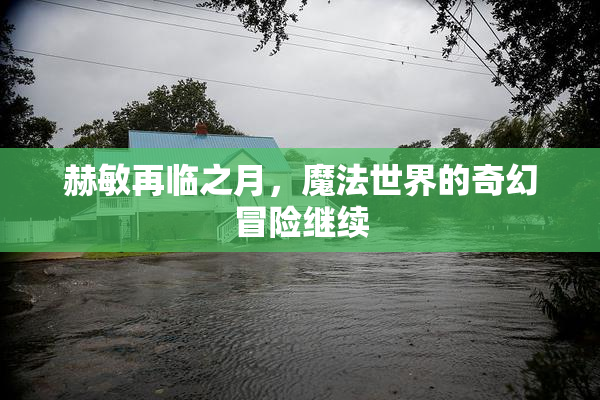 赫敏再临之月，魔法世界的奇幻冒险继续