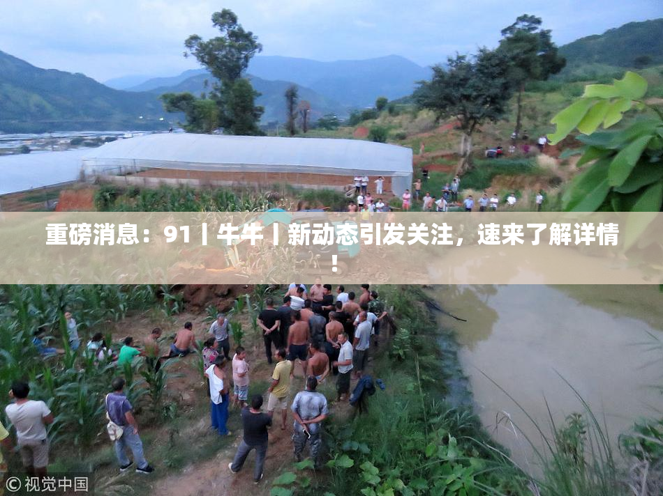 重磅消息：91丨牛牛丨新动态引发关注，速来了解详情！