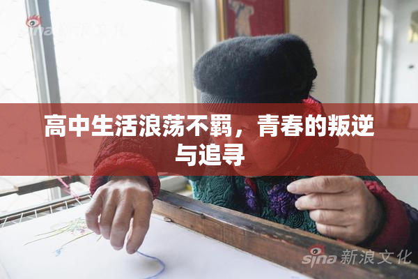 高中生活浪荡不羁，青春的叛逆与追寻