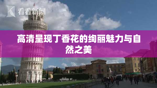高清呈现丁香花的绚丽魅力与自然之美