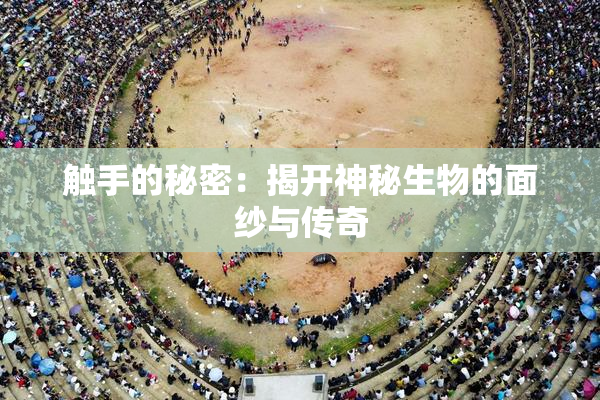 触手的秘密：揭开神秘生物的面纱与传奇