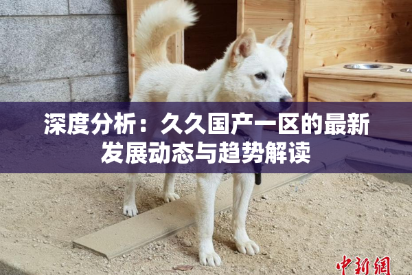 深度分析：久久国产一区的最新发展动态与趋势解读