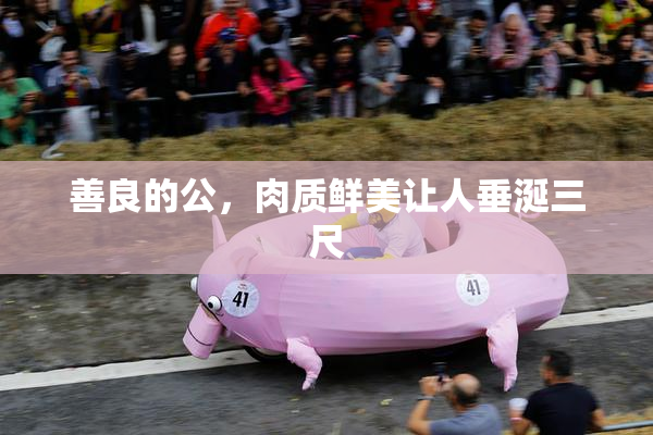 善良的公，肉质鲜美让人垂涎三尺