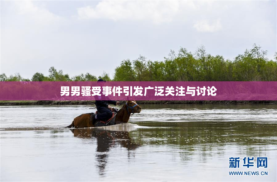 男男骚受事件引发广泛关注与讨论