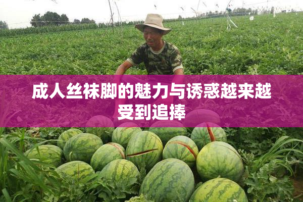 成人丝袜脚的魅力与诱惑越来越受到追捧