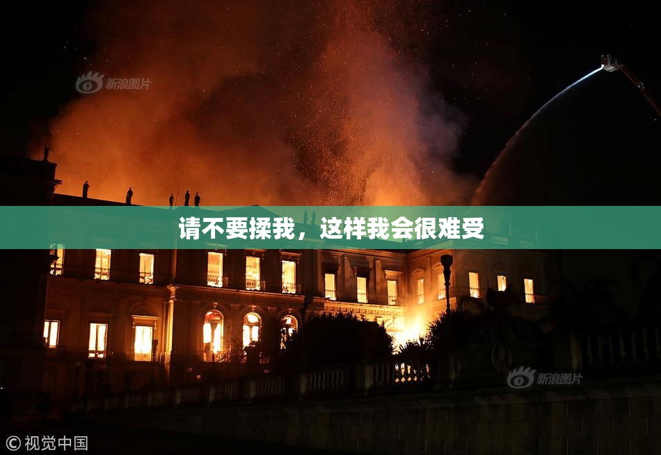 请不要揉我，这样我会很难受