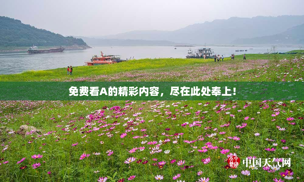 免费看A的精彩内容，尽在此处奉上！