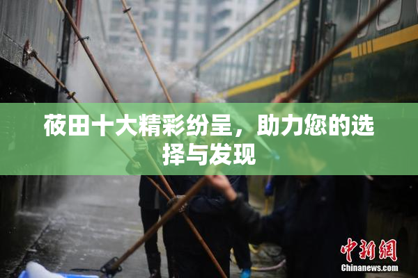 莜田十大精彩纷呈，助力您的选择与发现