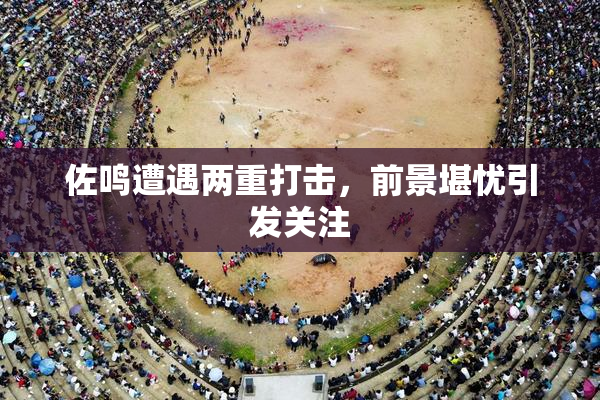 佐鸣遭遇两重打击，前景堪忧引发关注
