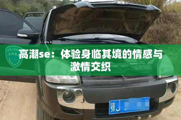 高潮se：体验身临其境的情感与激情交织