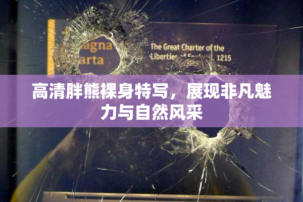 高清胖熊裸身特写，展现非凡魅力与自然风采