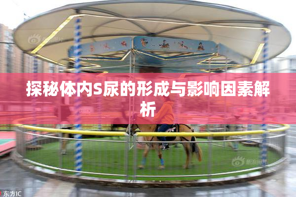 探秘体内S尿的形成与影响因素解析