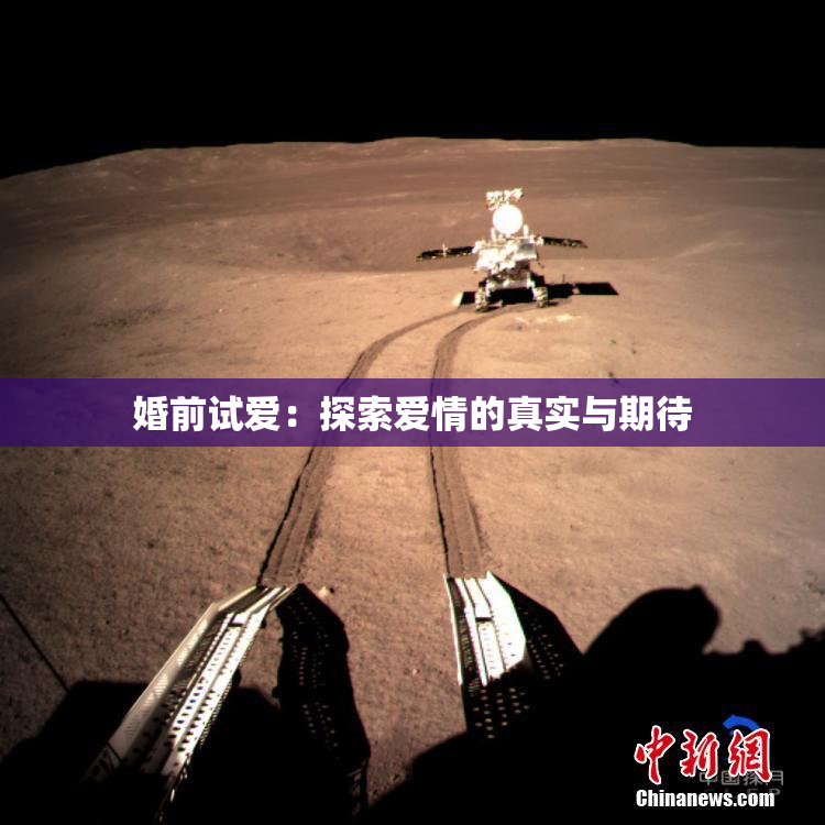 婚前试爱：探索爱情的真实与期待
