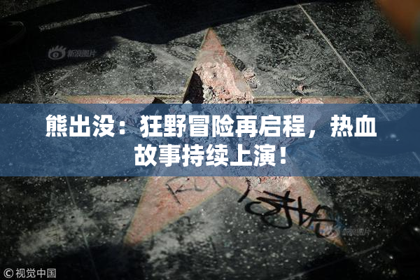 熊出没：狂野冒险再启程，热血故事持续上演！