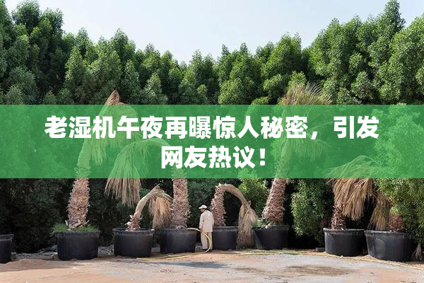 老湿机午夜再曝惊人秘密，引发网友热议！