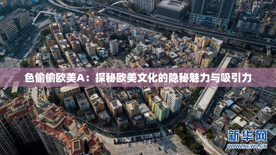 色偷偷欧美A：探秘欧美文化的隐秘魅力与吸引力