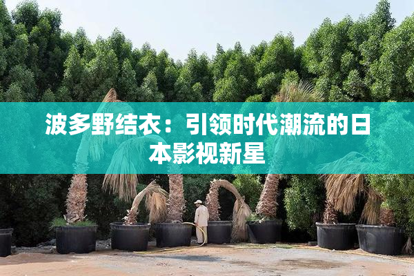 波多野结衣：引领时代潮流的日本影视新星